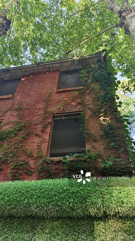 湖北武汉青山区红房子 即将拆除的苏联老式楼房 红砖墙 爬墙虎图片素材