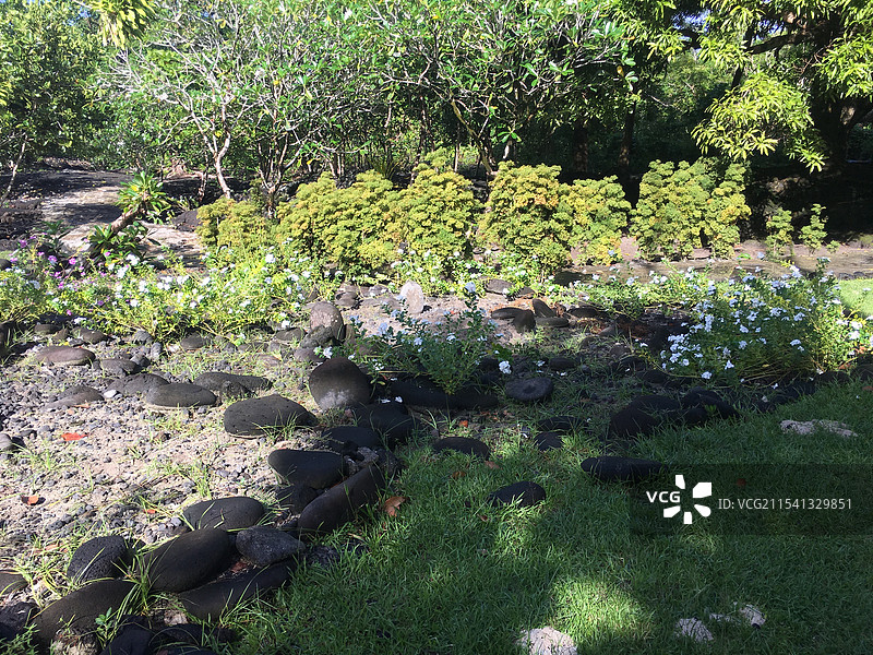 萨摩亚萨瓦伊岛火山喷发后的岩石图片素材