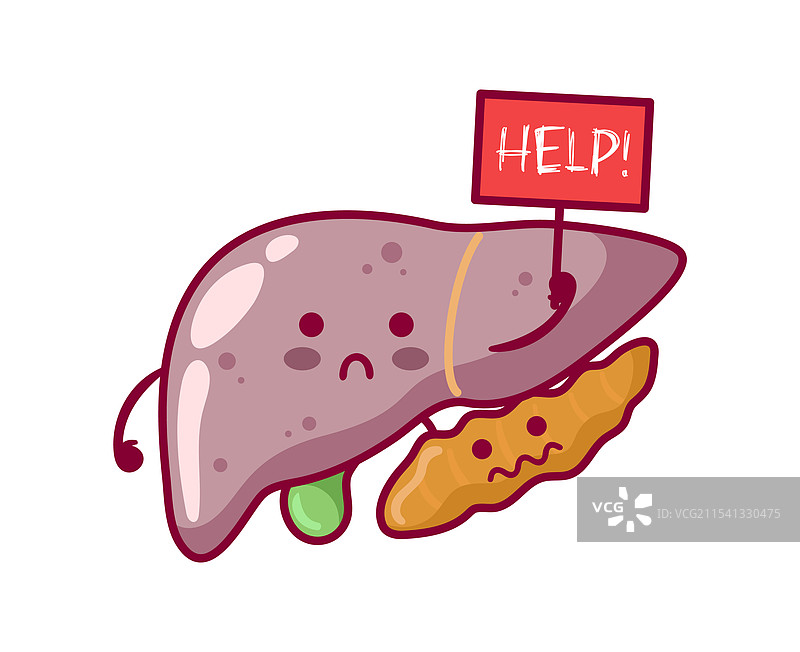 可爱的病态肝脏、胆囊和胰腺图片素材