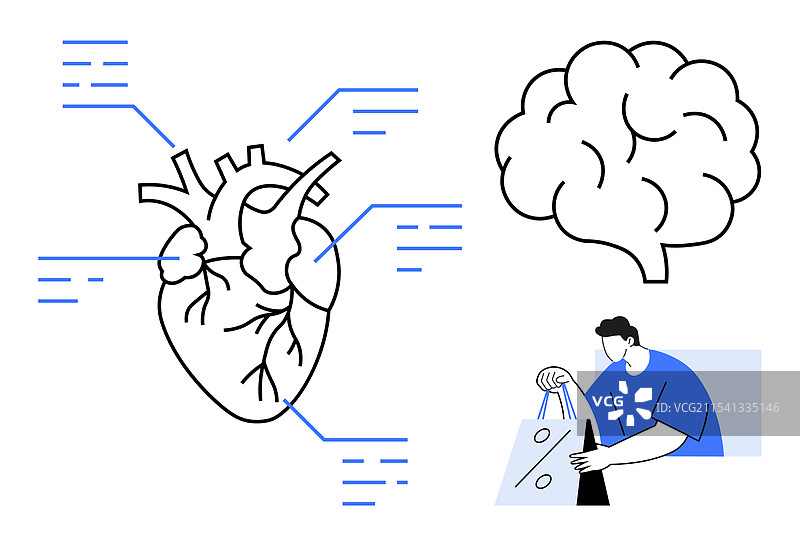 带有大脑轮廓的解剖心脏图示图片素材