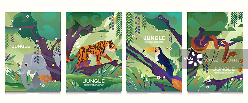 渐变风格的丛林卡片收藏图片素材