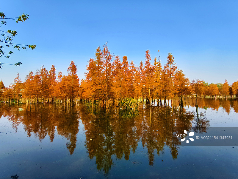 成都市白鹭湾湿地公园图片素材
