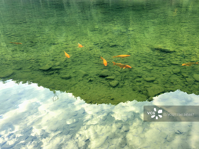 溪云共舞，鱼戏彩云间图片素材