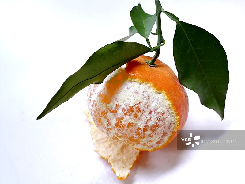 新鲜柑橘放在白色背景前图片素材