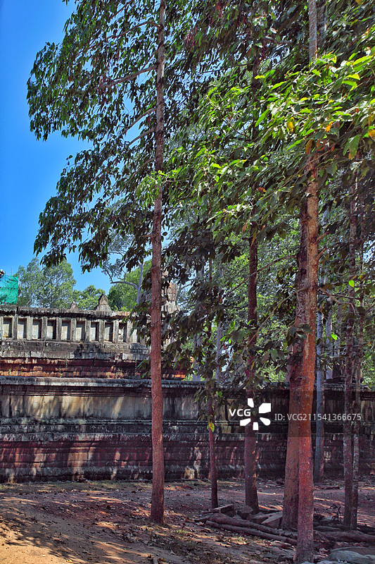 吴哥古迹茶胶寺图片素材