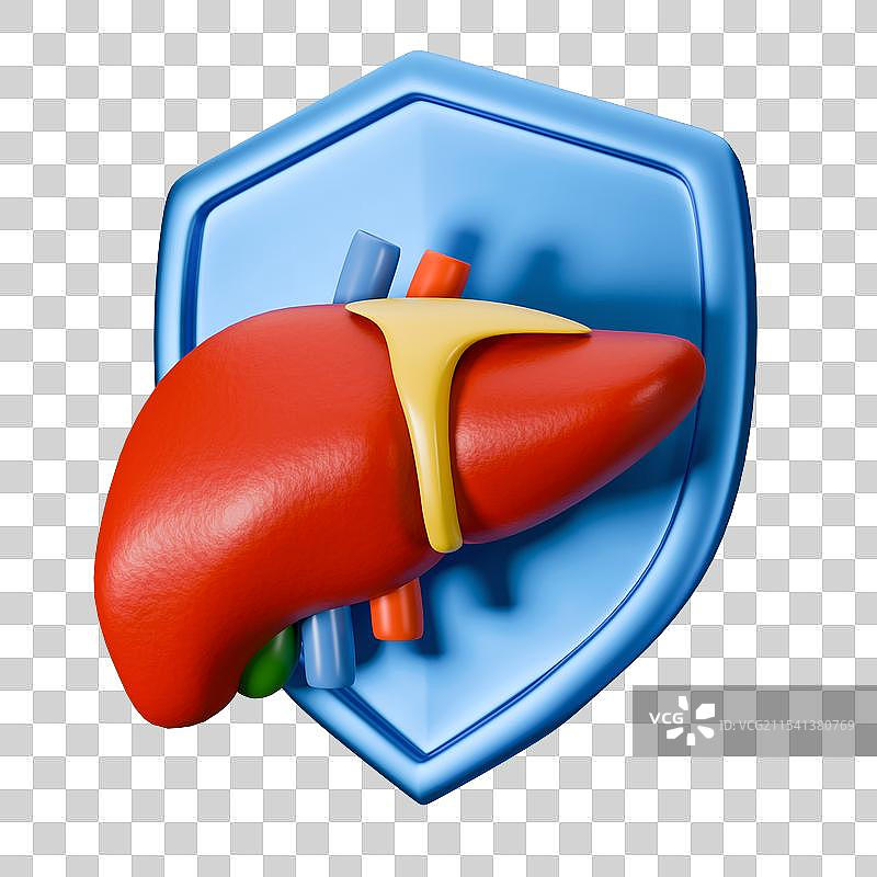 3D渲染立体元素健康内脏人体器官图片素材