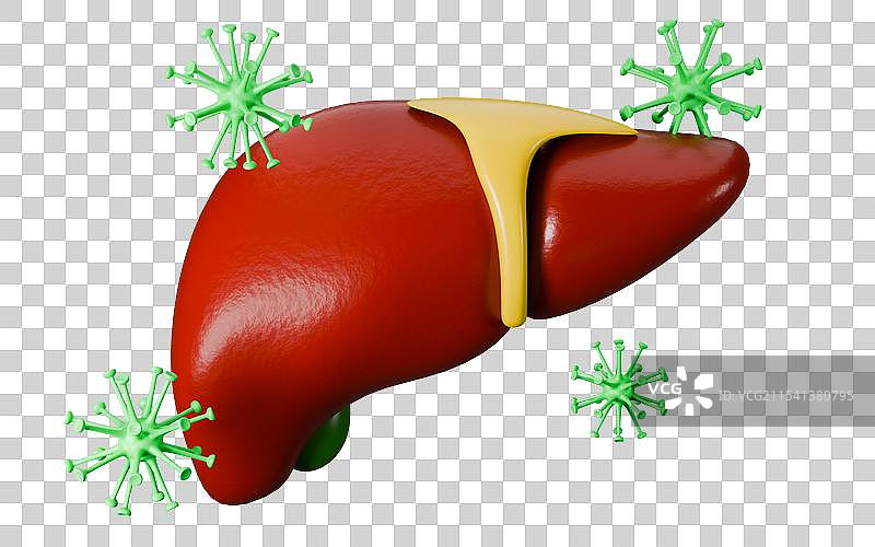 3D渲染立体元素健康内脏人体器官图片素材