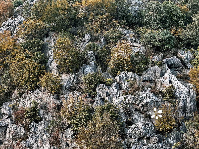 航拍三衢石林秘境图片素材