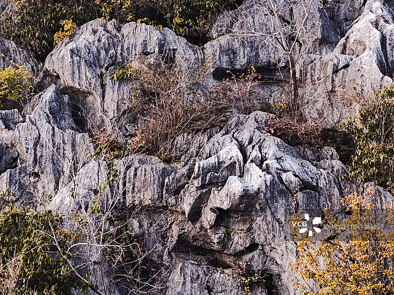三衢石林—大自然杰作图片素材