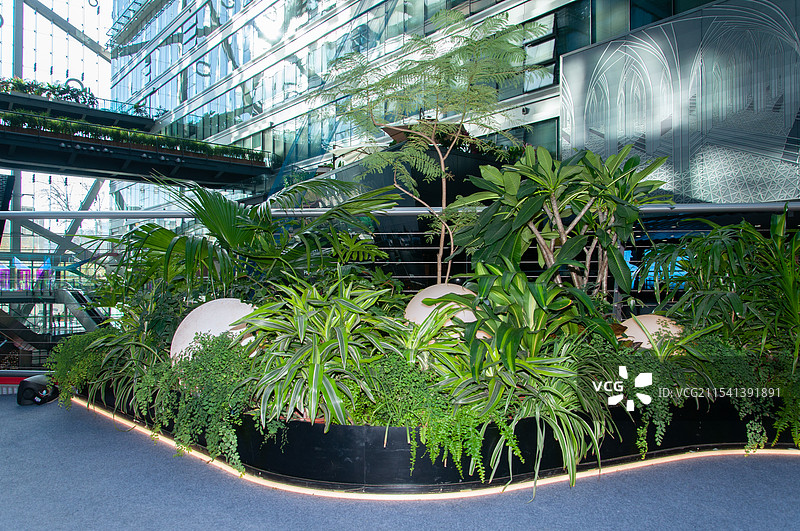 北京侨福芳草地购物中心内部绿化带图片素材