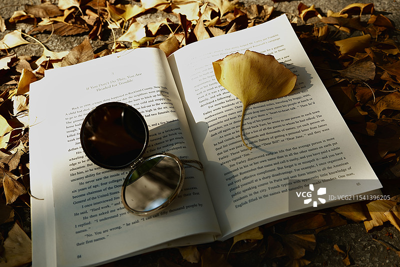 秋天的银杏叶绝美图片素材