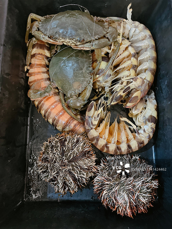 马来西亚沙巴州，仙本那海鲜市场的海产品图片素材