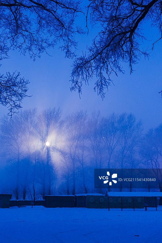 吉林市龙潭区美不胜收的自然奇观——雾凇图片素材