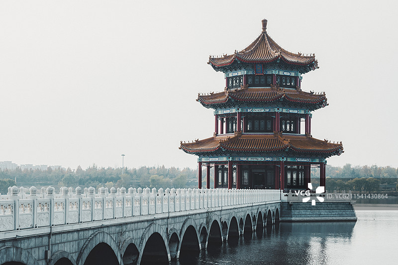 泰山花海景区实景图图片素材