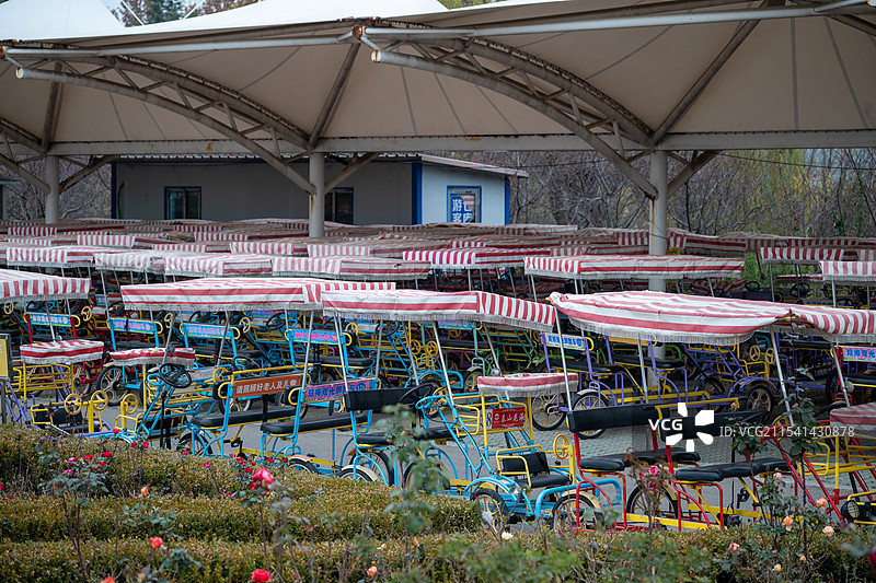 泰山花海景区实景图图片素材