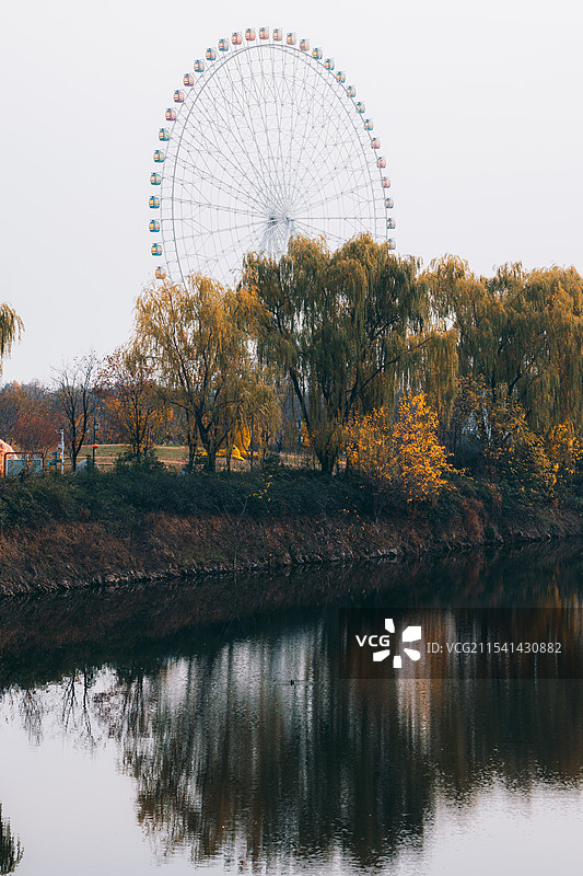 泰山花海景区实景图图片素材