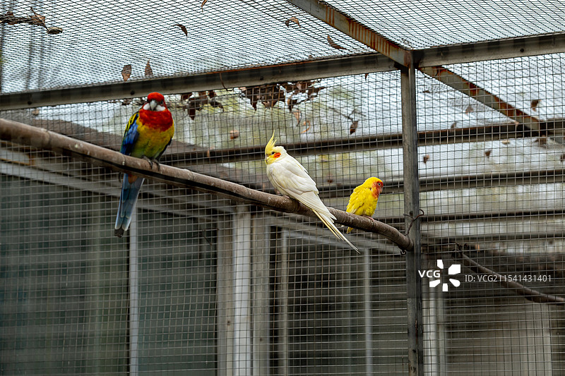 泰山花海动物园图片素材