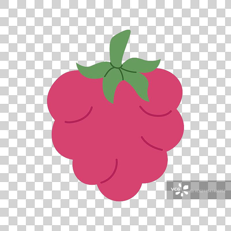 手绘的健康树莓涂鸦莓图片素材