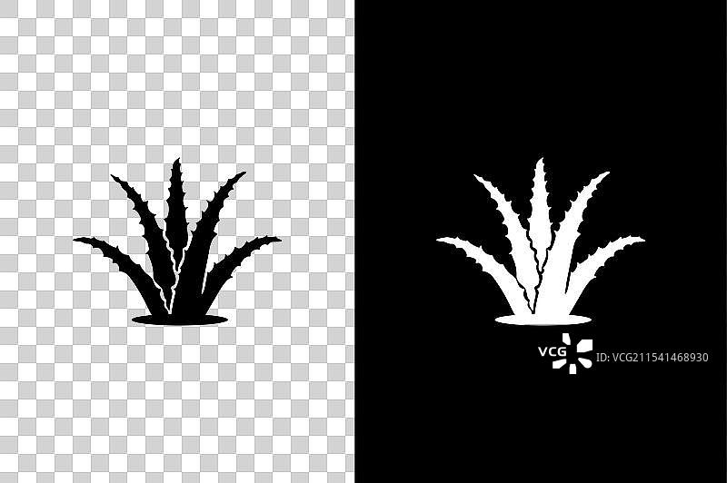 芦荟图标轮廓 芦荟图片素材