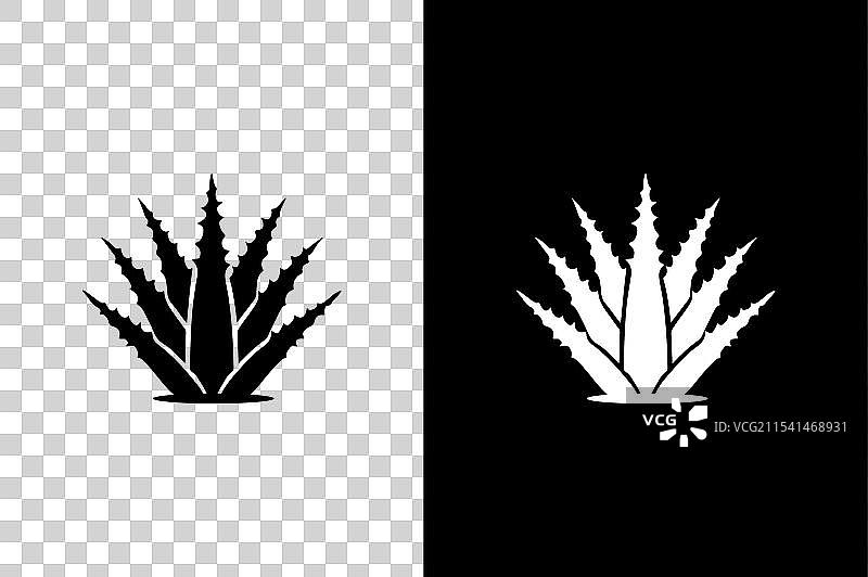 芦荟图标轮廓 芦荟图片素材