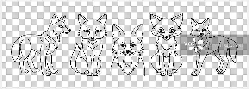 手绘孤立的涂鸦狐狸剪贴画图片素材