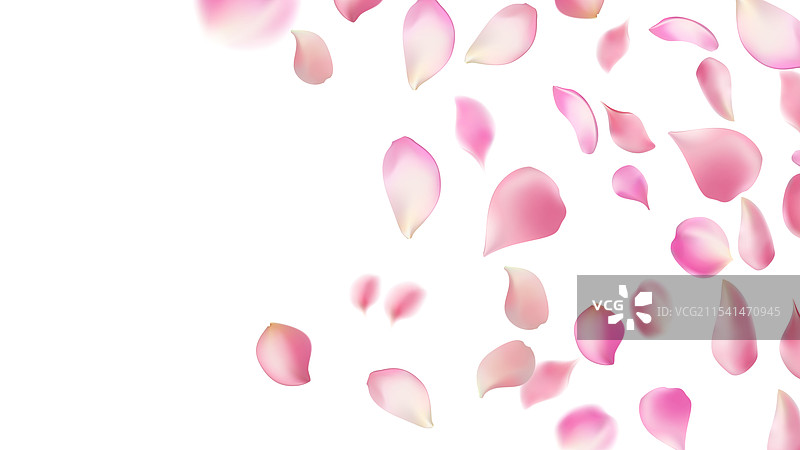 玫瑰花瓣或樱花飞舞的花瓣浪漫图片素材