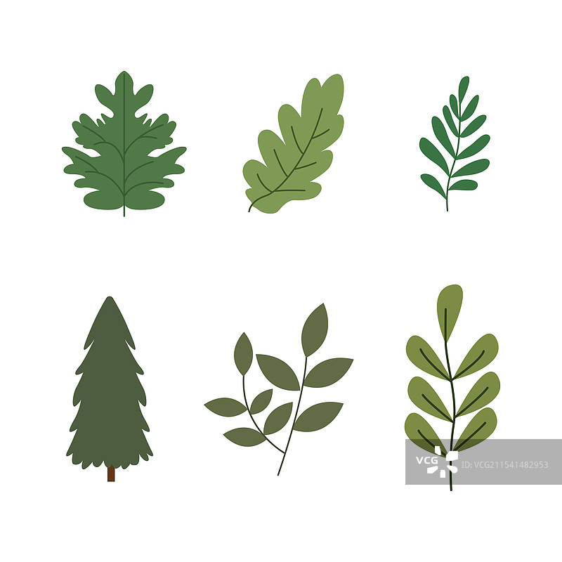 露营元素：松树、冷杉、针叶树的组合图片素材