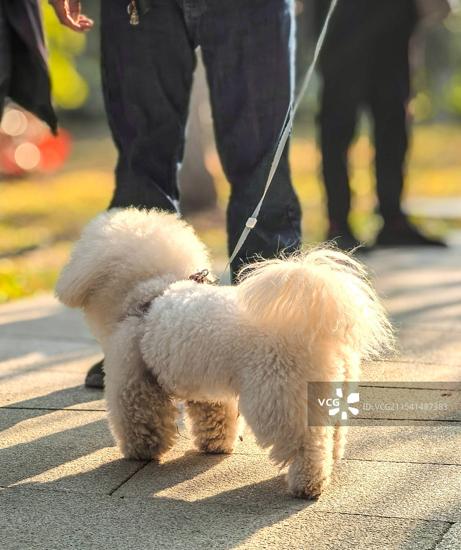 我也要晒晒图片素材