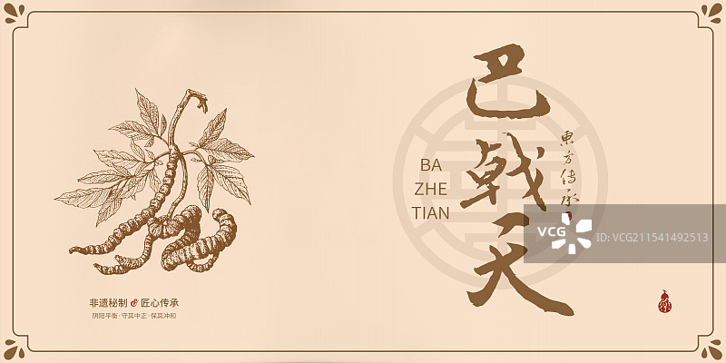 巴戟天丨手写中药书法毛笔字药材名插画海报展板包装盒图片素材