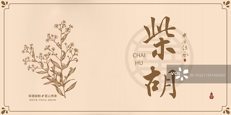 柴胡丨手写中药书法毛笔字药材名插画海报展板包装盒图片素材