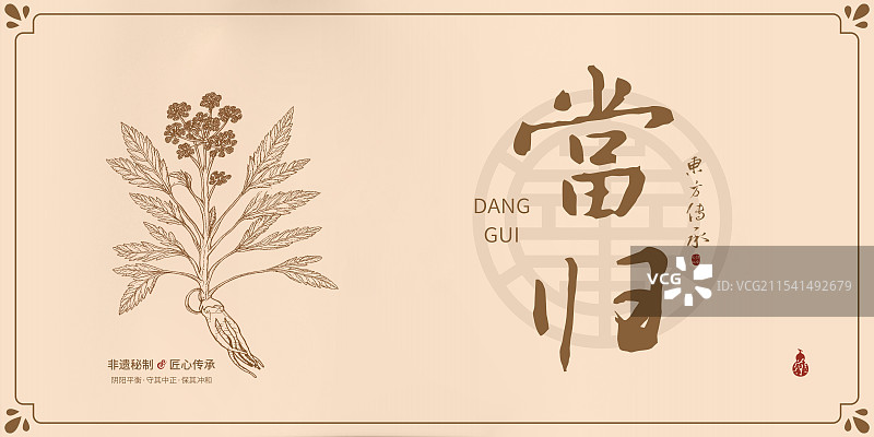 当归丨手写中药书法毛笔字药材名插画海报展板包装盒图片素材