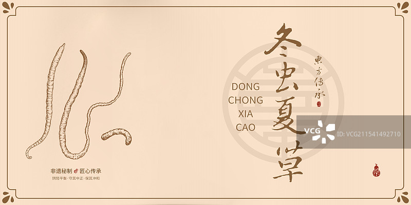 冬虫夏草丨手写中药书法毛笔字药材名插画海报展板包装盒图片素材