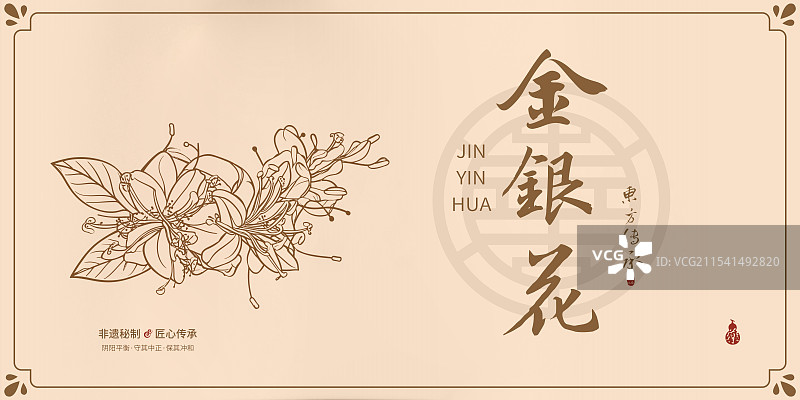金银花丨手写中药书法毛笔字药材名插画海报展板包装盒图片素材