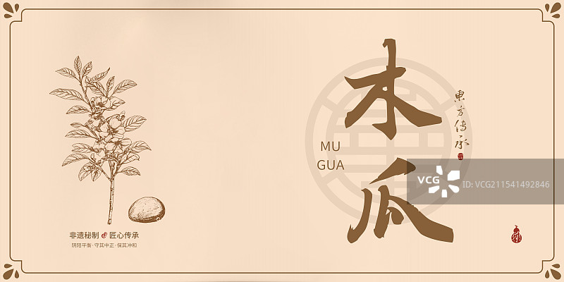 木瓜丨手写中药书法毛笔字药材名插画海报展板包装盒图片素材