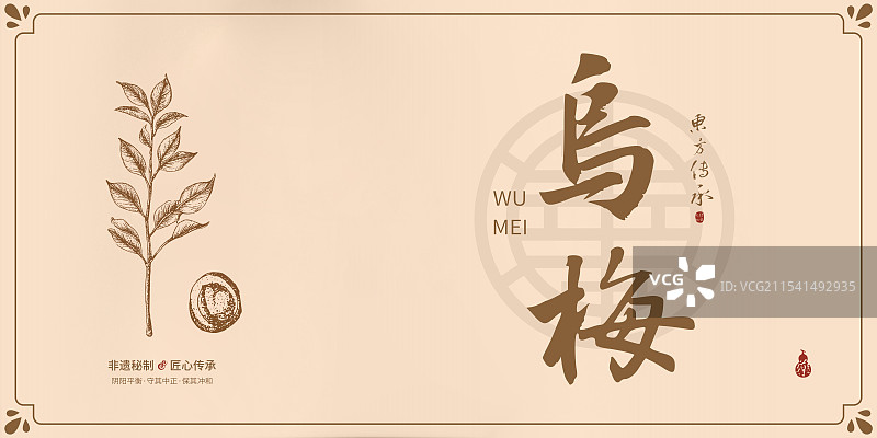乌梅丨手写中药书法毛笔字药材名插画海报展板包装盒图片素材