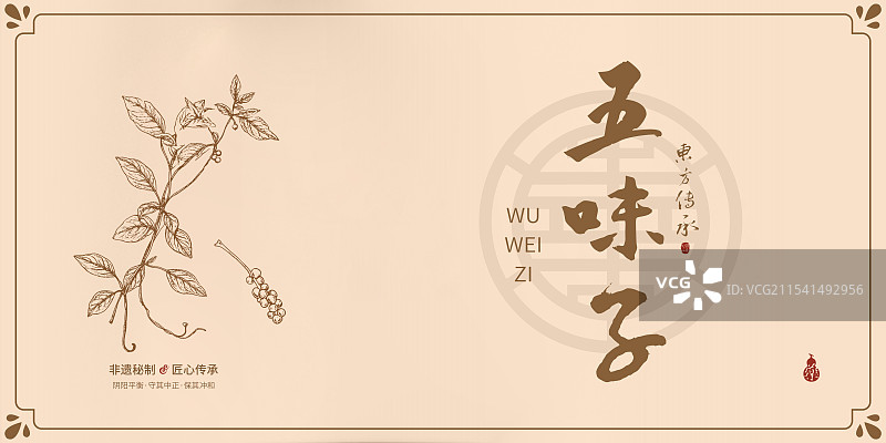 五味子丨手写中药书法毛笔字药材名插画海报展板包装盒图片素材