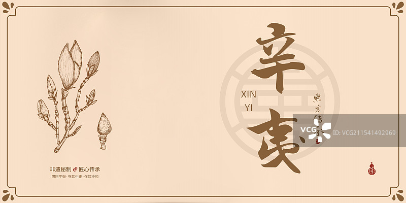 辛夷丨手写中药书法毛笔字药材名插画海报展板包装盒图片素材