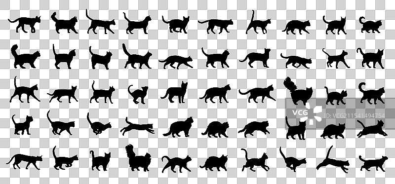 猫品种剪影集合图片素材