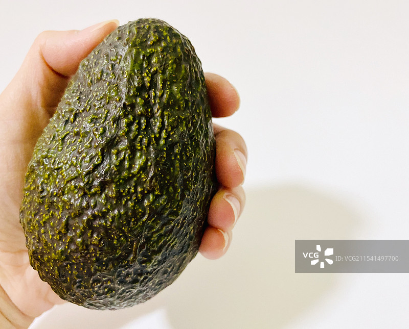白色背景下手握牛油果的特写镜头图片素材