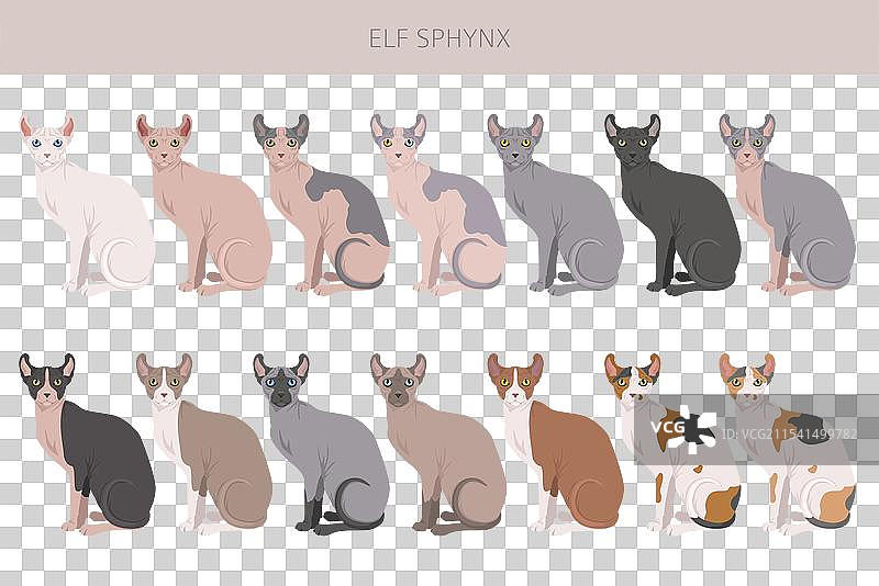 精灵斯芬克斯猫剪贴画，所有毛色系列图片素材