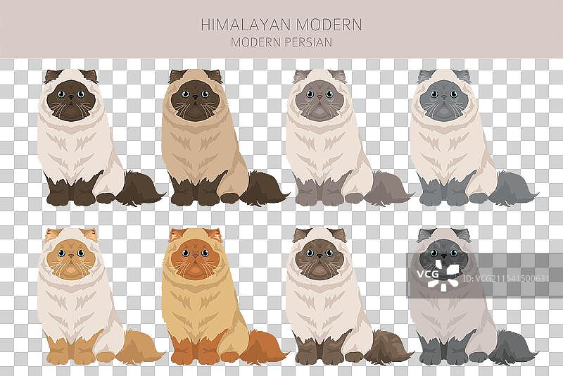现代风格的喜马拉雅波斯猫剪贴画图片素材