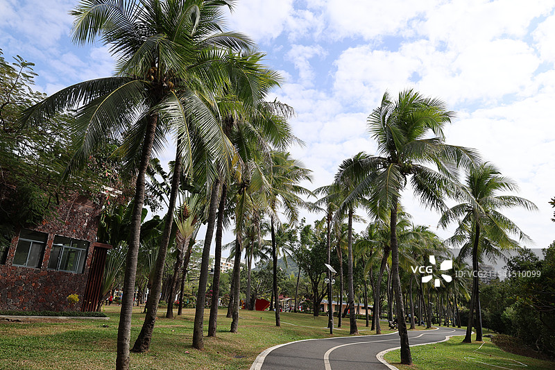 海南三亚，亚龙湾火车站，凤凰岭海誓山盟景区，红土地，夜景，吉阳大路，夕阳，热带植物图片素材