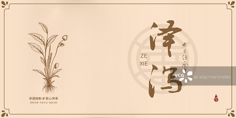 泽泻丨手写中药书法毛笔字药材名插画海报展板包图片素材