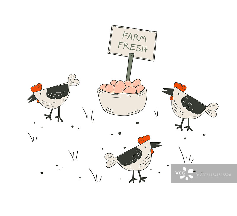 有机鸡蛋农场艺术作品图片素材