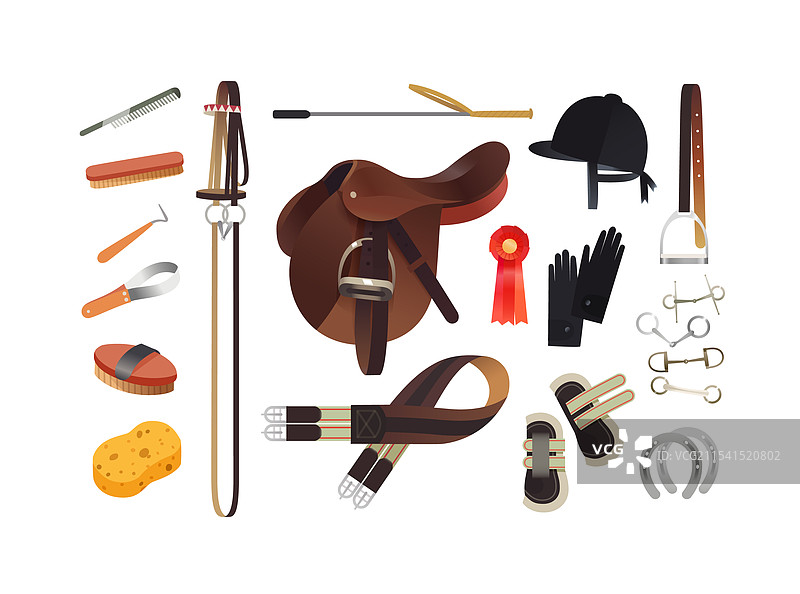 英语马术必备物品图片素材