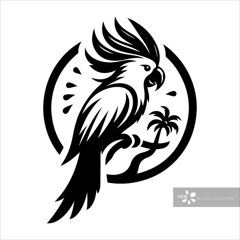 黑色鹦鹉艺术图片素材