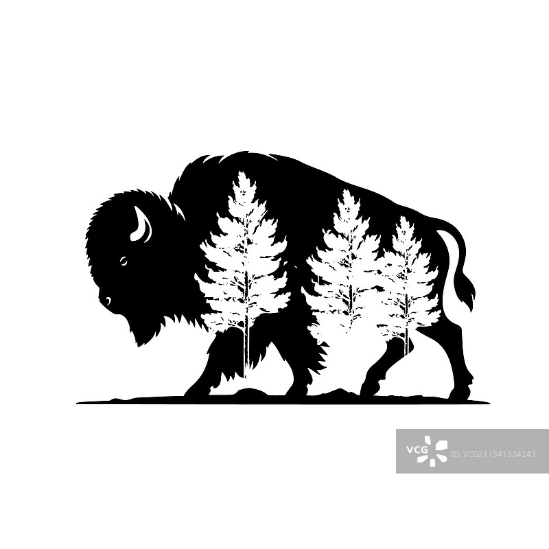 野牛、松树和山脉剪影图片素材