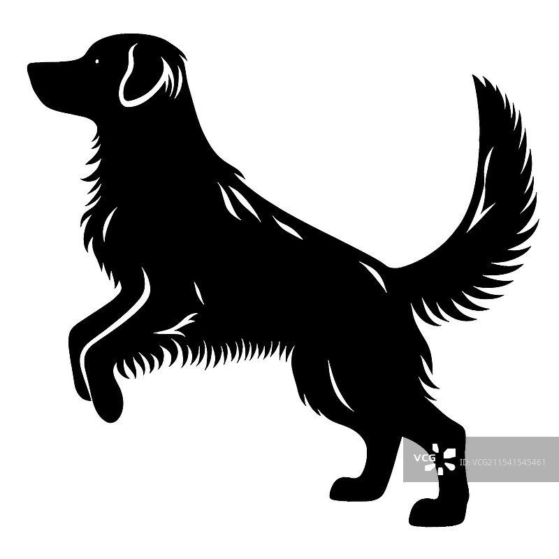 顽皮的金毛猎犬黑色剪影图片素材