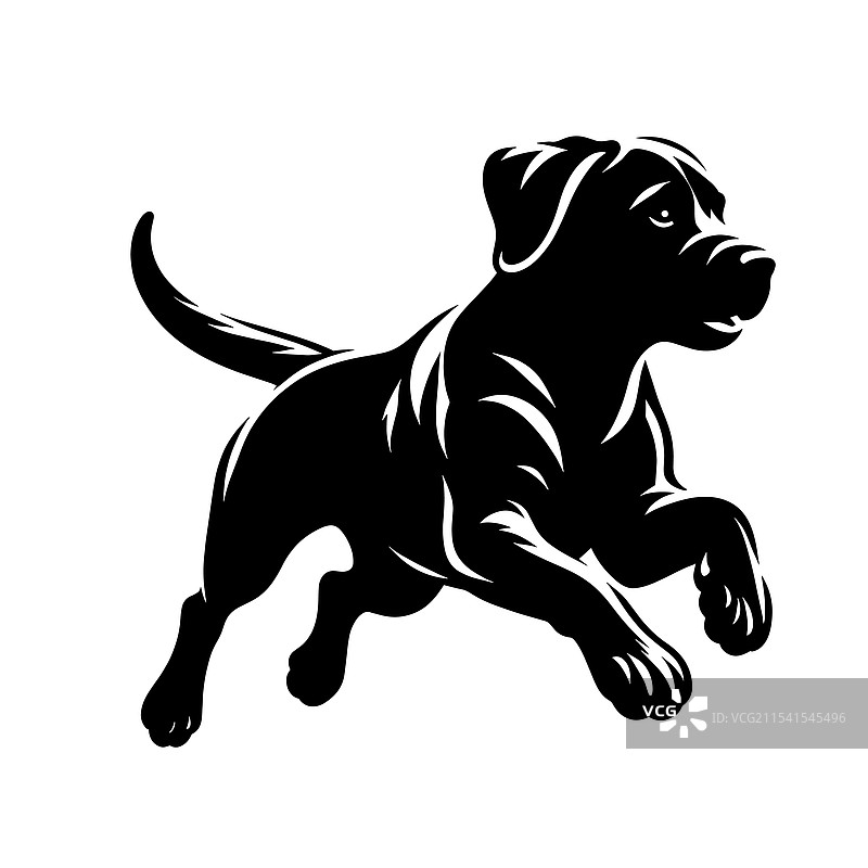 一只顽皮的狗在跳跃的黑色剪影图片素材