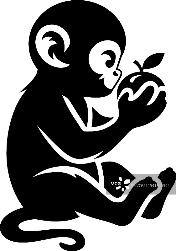 可爱的猴子在吃苹果图片素材